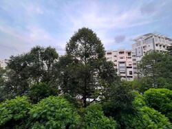 Blk 656 Woodlands Ring Road (Woodlands), HDB Executive #627034811